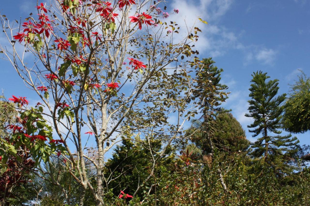 Pousada Campestre Sitio Da Lua 卡曼杜卡亚 外观 照片