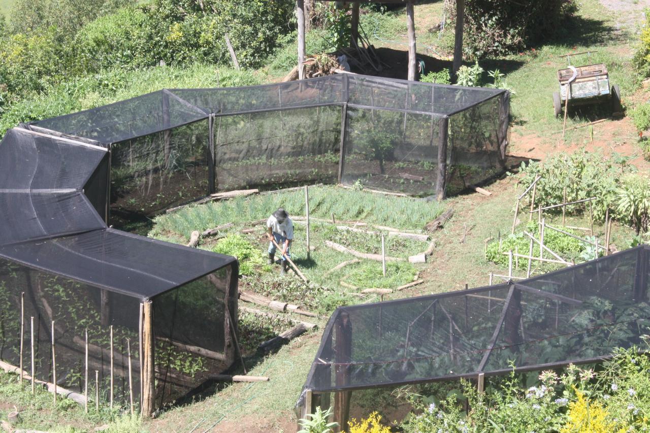 Pousada Campestre Sitio Da Lua 卡曼杜卡亚 外观 照片
